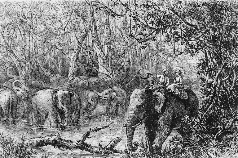 Ilustración de una mujer y un hombre a lomos de un elefante.
