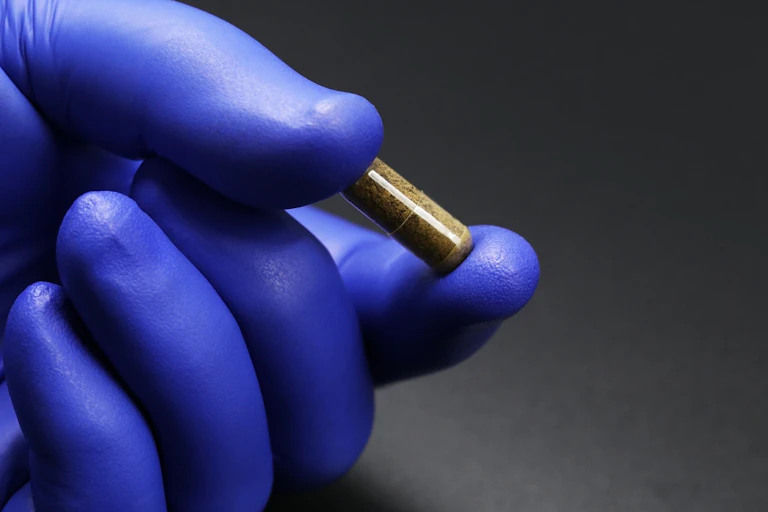 personne avec des gants en nitrille tient une capsule brunâtre