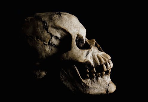 DNA from elusive human relatives the Denisovans has left a curious mark on modern people in New Guinea