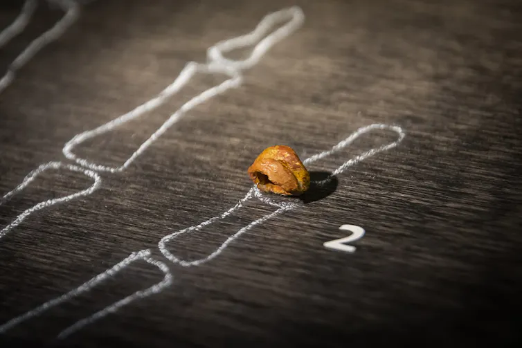 The outline of a skeleton finger on a dark surface with a small, orange bone sitting atop one knuckle