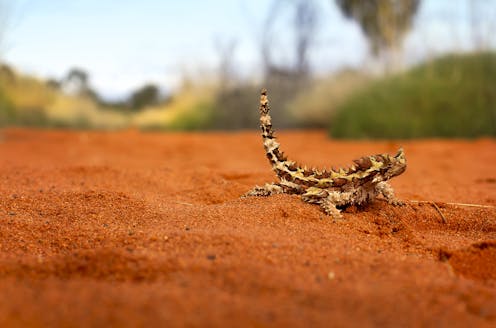 Our laws fail nature. The government’s plan to overhaul them looks good, but crucial detail is yet to come