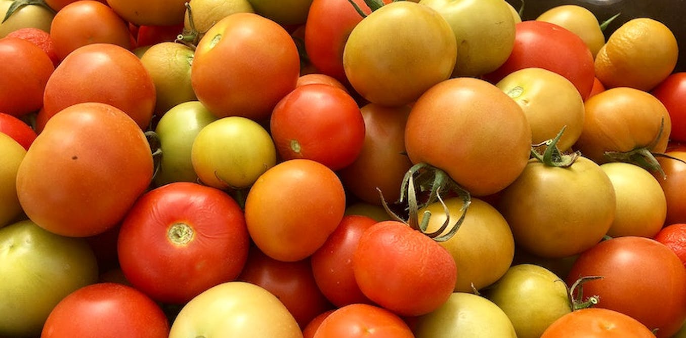 Risk In Consuming Rotten Fruits and Vegetables — Solar-powered cold storage for developing countries