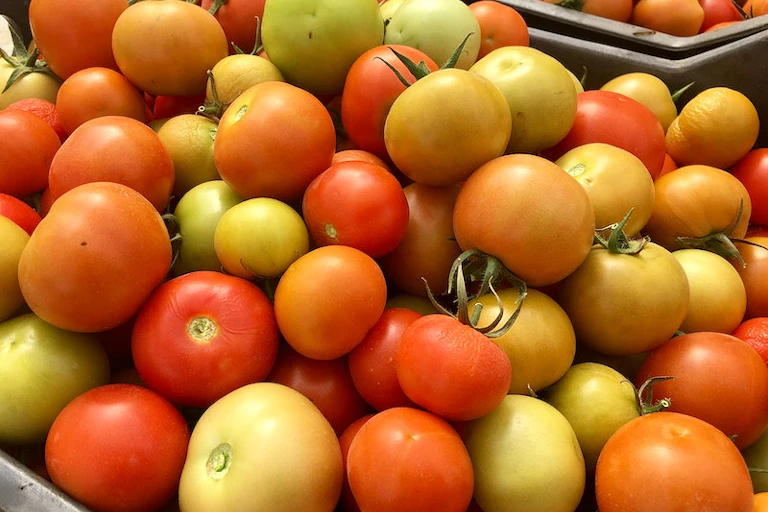 A basket of tomatoes
