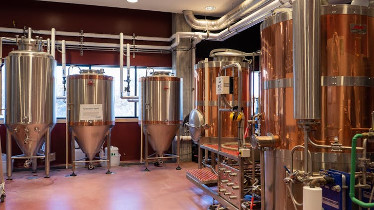 Fermentation tanks photographed in a brewhouse.