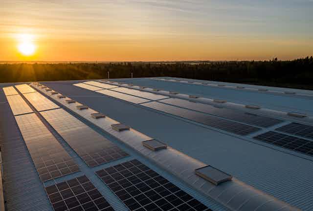 Sun rising over a rooftop of solar panels