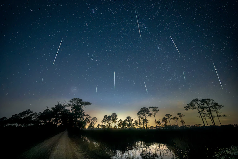 A nighttime landscape with trees in the distance and bright streaks raining down towards the ground