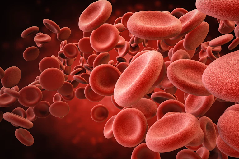 An artist recreation of red blood cells in the body.