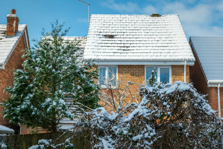 house covered in snow