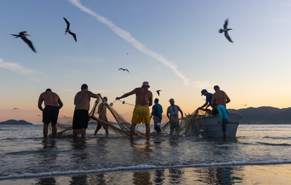 Fishers pull in a net on a tropical beach with birds circling overhead.