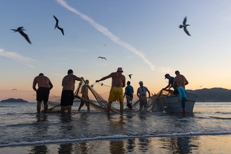 Fishers pull in a net on a tropical beach with birds circling overhead.