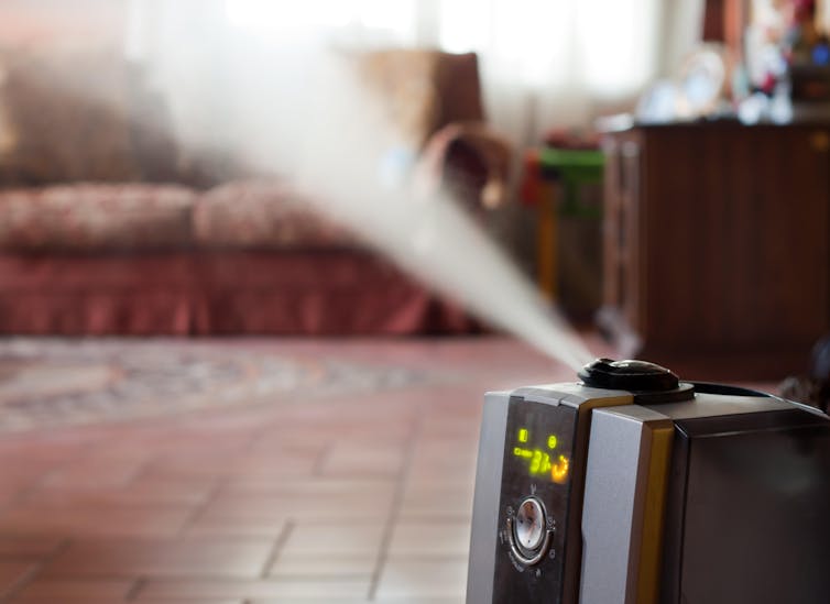 A humidifier with ionic air purifier