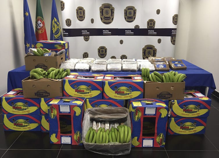 A display of boxes of bananas and packages of cocaine.