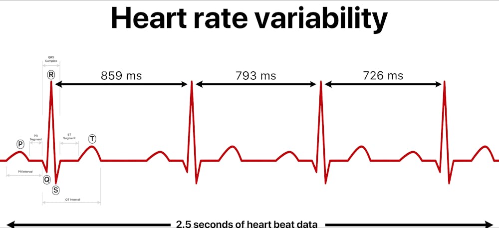 What to know about heart rate variability — the biometric most fitness ...