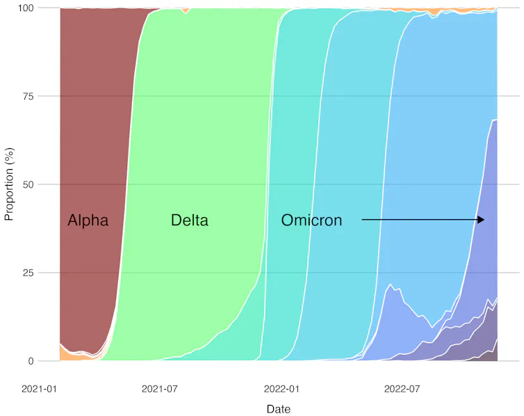 A graph showing variants of SARS-CoV-2 among available sequences for England.