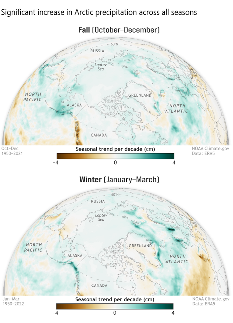 La mappa mostra aumenti significativi delle precipitazioni nell'Artico sia in inverno che in autunno.