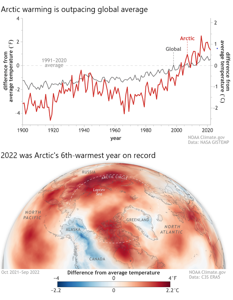 Il grafico del globo e delle serie temporali mostra che le temperature aumentano più velocemente nell'Artico che nel resto del mondo.