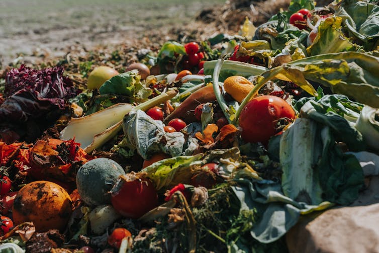 The food cycle, including food waste flows. FOGO, Food Organics