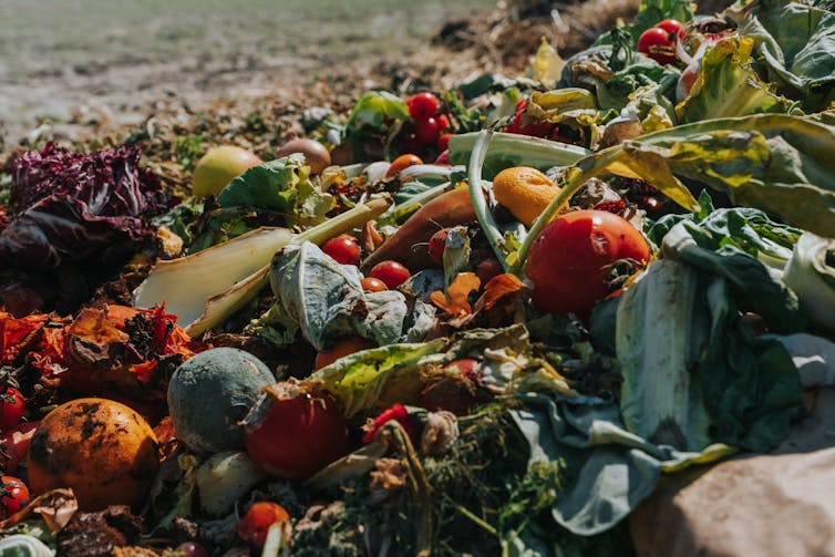 Piles of discarded food