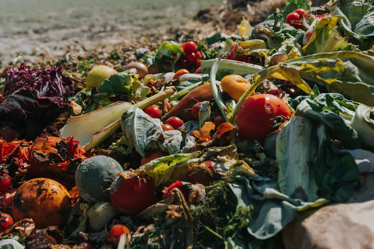 Piles of discarded food
