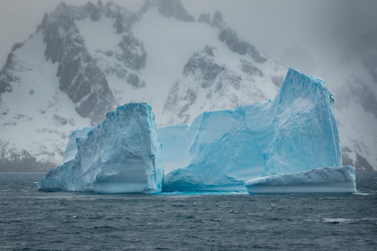 A blue iceberg with Antarctic land mass in the background.