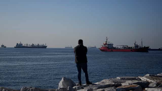 a person stands on a rocky shore looking out at cargo ships anchored in the open sea outside a port