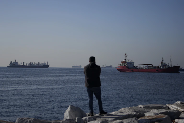 a person stands on a rocky shore looking out at cargo ships anchored in the open sea outside a port