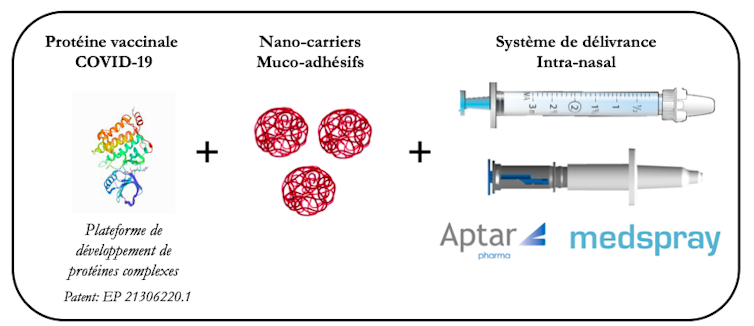 Synthèse des trois innovations développées : vue 3D de la protéine vaccinale, de son nano-porteur et du spray