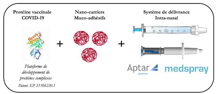 Synthèse des trois innovations développées : vue 3D de la protéine vaccinale, de son nano-porteur et du spray