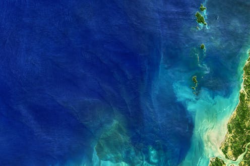 Spotting plastic waste from space and counting the fish in the seas: here's how AI can help protect the oceans