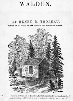 Black and white illustration of a small cabin surrounded by tall pines