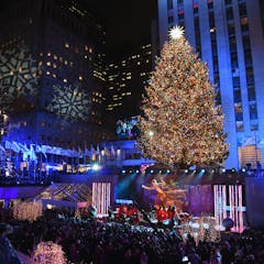 Oh, Christmas tree: The economics of the US holiday tree industry