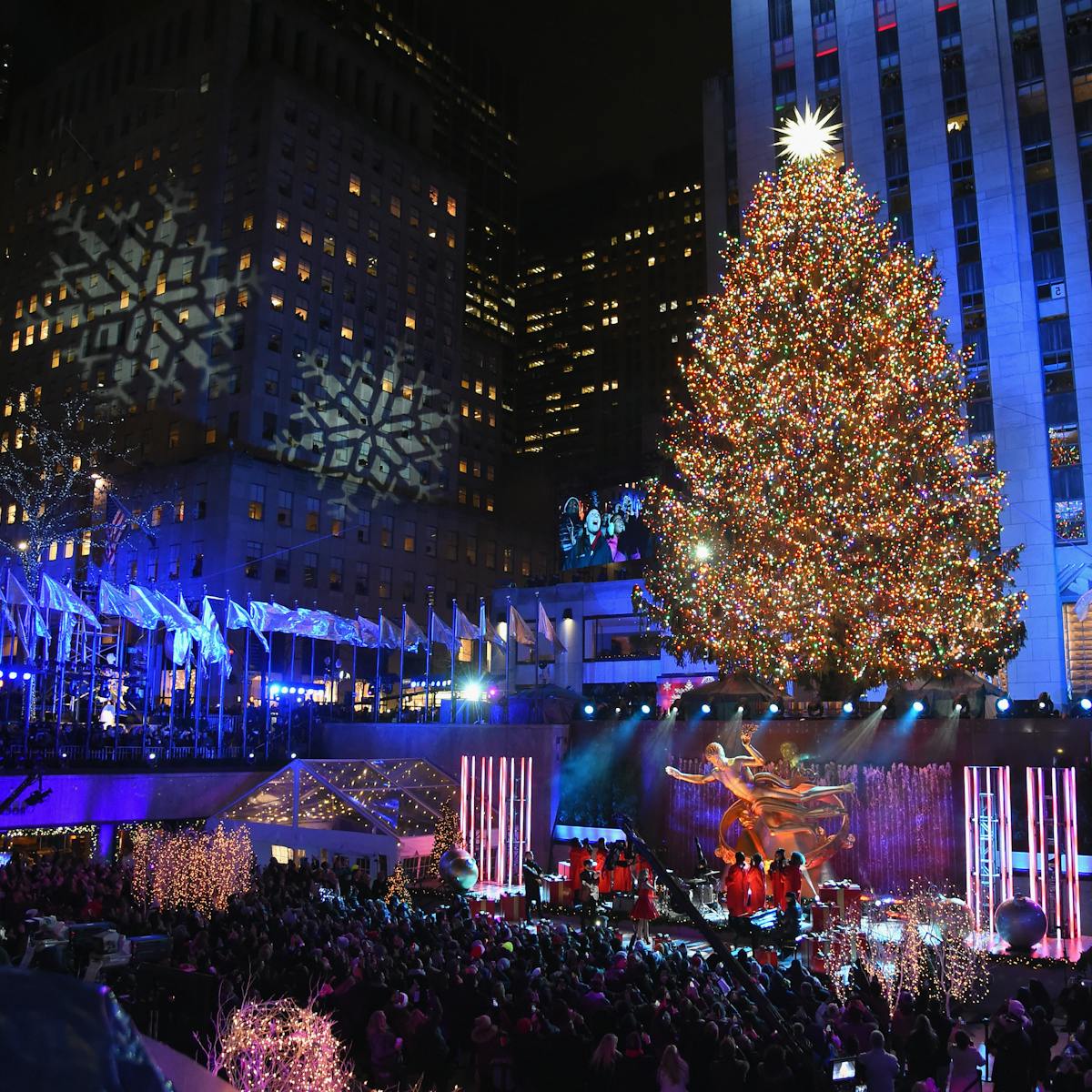 The Christmas tree is a tradition older than Christmas