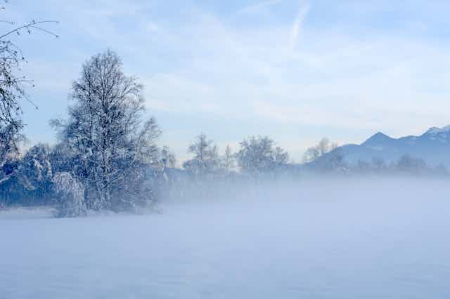 A snowy scene shows a few trees against a cloudy blue sky and mountains in the distance.
