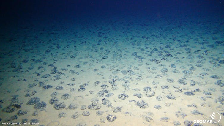 A view looking across a sea floor with nodules looking like cobblestones on a street.