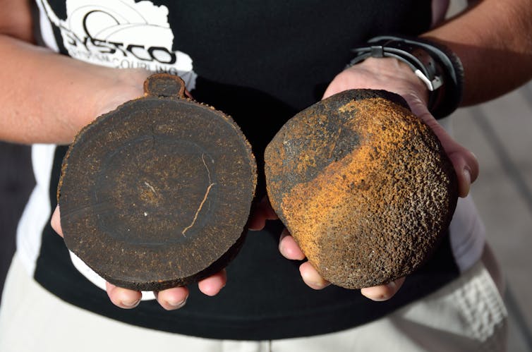 A person holds two halves of a split nodule, showing concentric rings