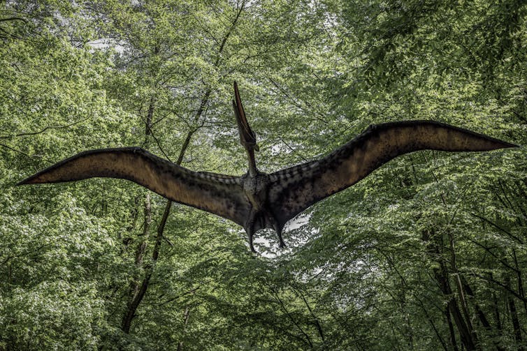 Model of Pterodactyl flying through a forest