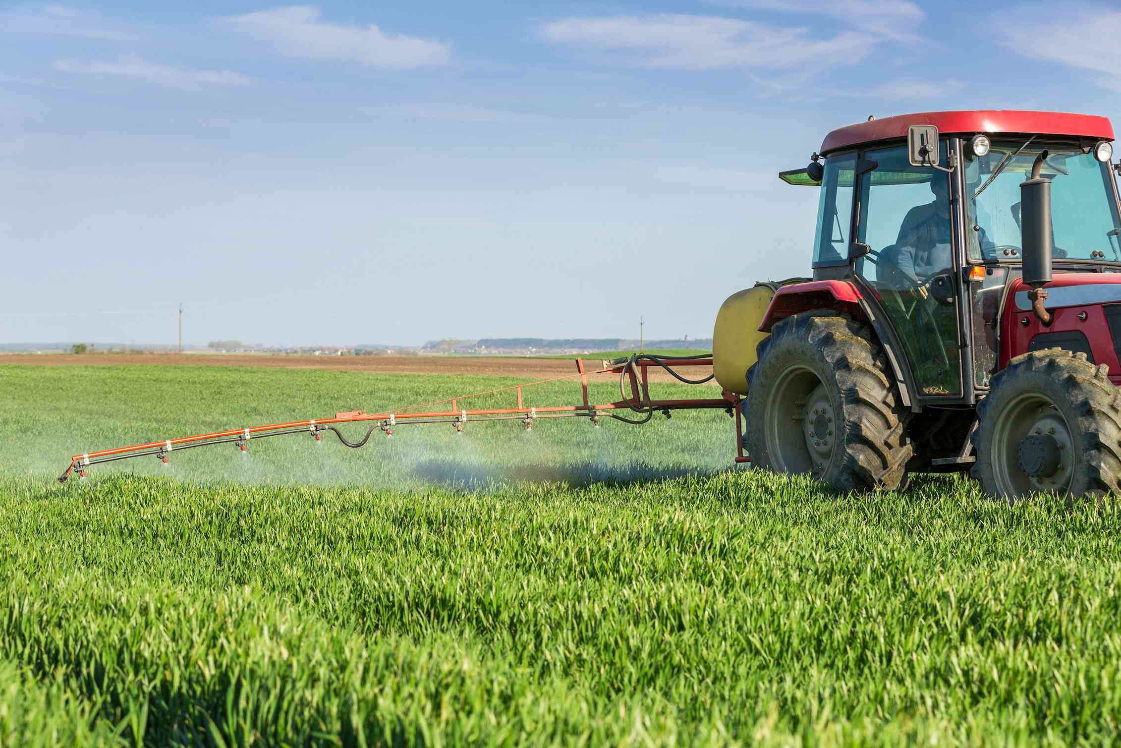 Un trattore che spruzza fungicida su un campo di grano mentre attraversa il campo.