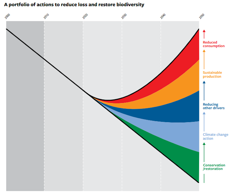 Graph of the potential trend changes after following CBD's action plan