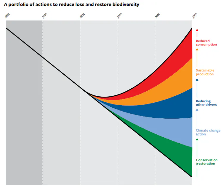 Graph of the potential trend changes after following CBD's action plan