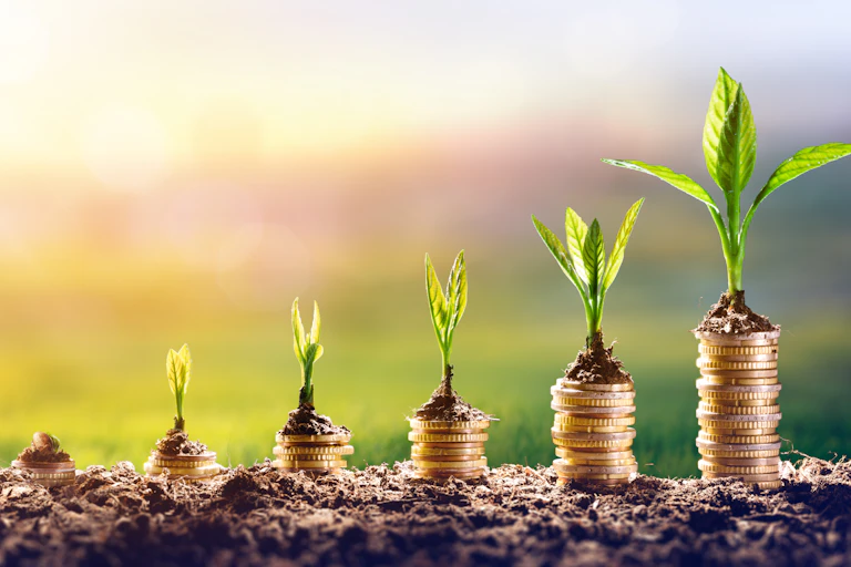 Small saplings in a row with monetary coins below them