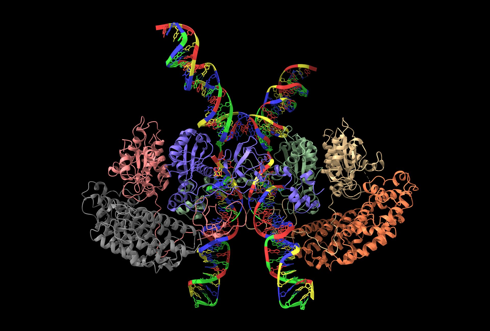 Visualizing The Inside Of Cells At Previously Impossible Resolutions   File 20221215 13 Dadsmp 