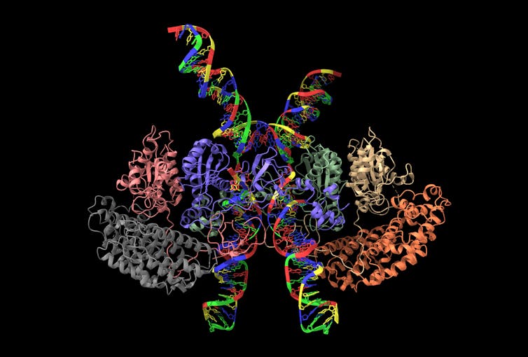 صورة Cryo-EM لفيروس ابيضاض الدم من النوع 1 من الخلايا التائية البشرية (HTLV-1)