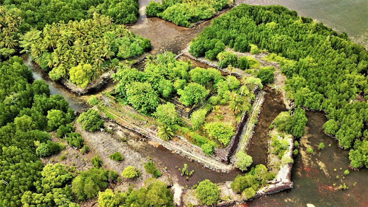 Aerial view of stone constructions topped with lush jungle greenery, with brown canal-like waterways around them