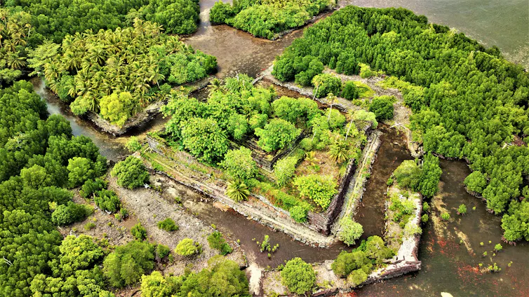 Aerial view of stone constructions topped with lush jungle greenery, with brown canal-like waterways around them