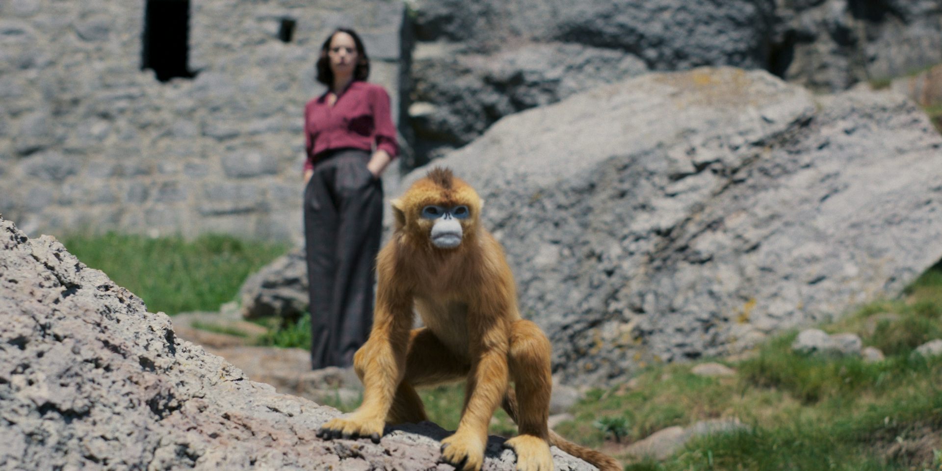 Mrs Coulter's monkey daemon stands fiercely in front of her.