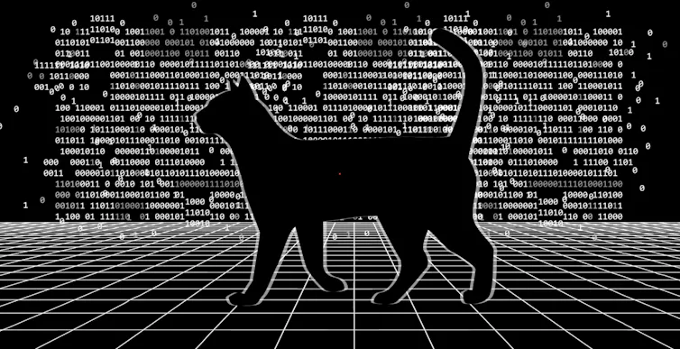 chat flouté devant des 0 et des 1