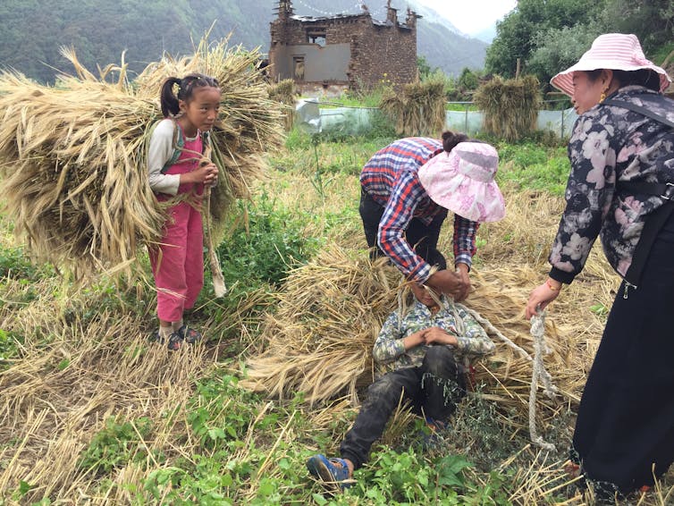 Image of a girl carrying grass.