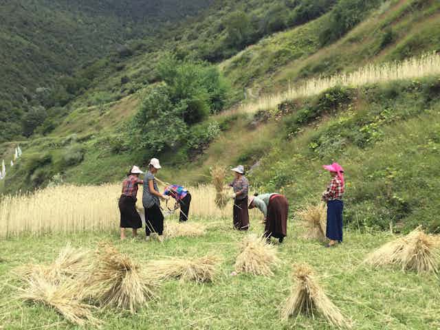Women working in rural China.