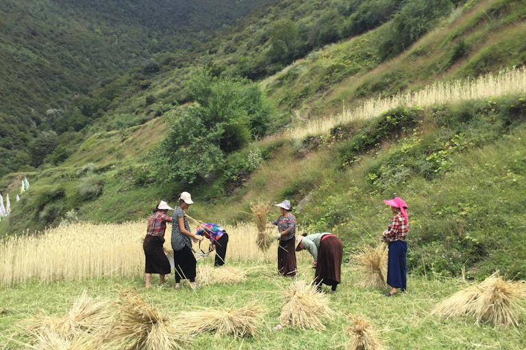 Women working in rural China.