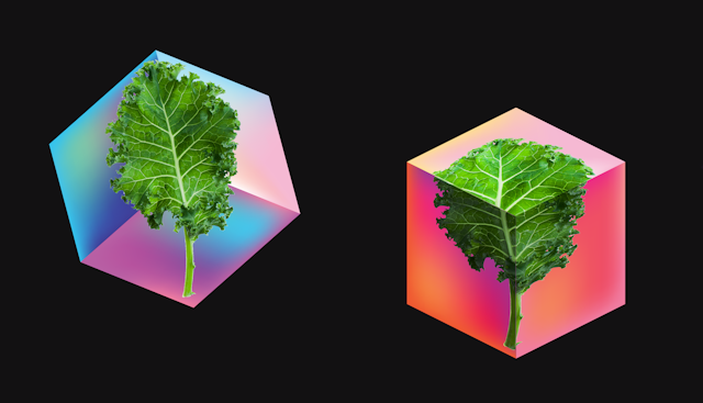 An image of kale over two cubes – the first fl